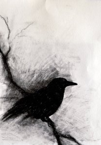 charcoal bird