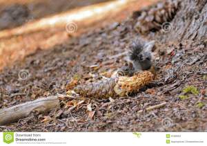 ??????????????????????????????????????????????????????????????????????????????????