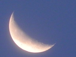 crescent moon2