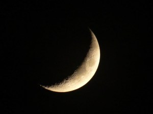 moon crescent