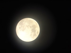 MoonFeature